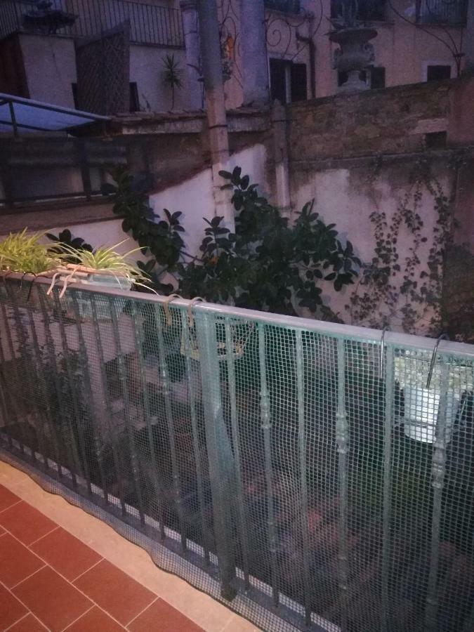 Apartamento Teatro Pace *